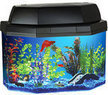 Cyber Monday Hawkeye 5 Gallon Tank Aquarium Kit - Walmart