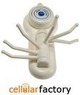 Online Deals Suction Wall Hook Rack Code: 10QFBF