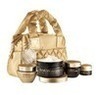 Online Deals ANEW Ultimate Holiday Gift Set Code: HOLIDAY2011