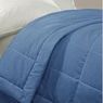 Online Deals Premier Comfort Gladys Microfiber Blanket - Designer Living