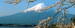 Online Deals Luxe Tokyo Trip  - Friendly Planet Travel